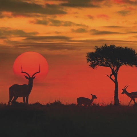 Kenia