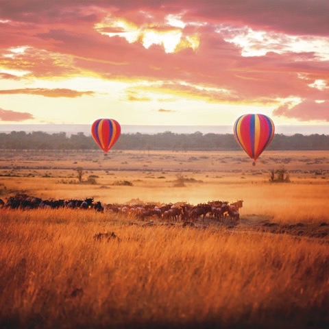 Afrika
