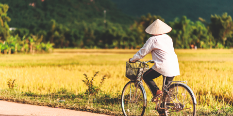 Asian farmer riding a bike in the fields